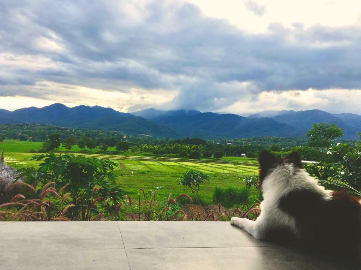 Atlas Valley (Adults Only) Pai Exterior foto